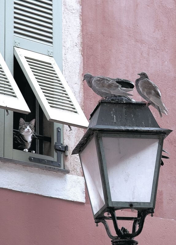 中国女足海外留学交流项目启动，提升国际竞争力，中国女足 留洋