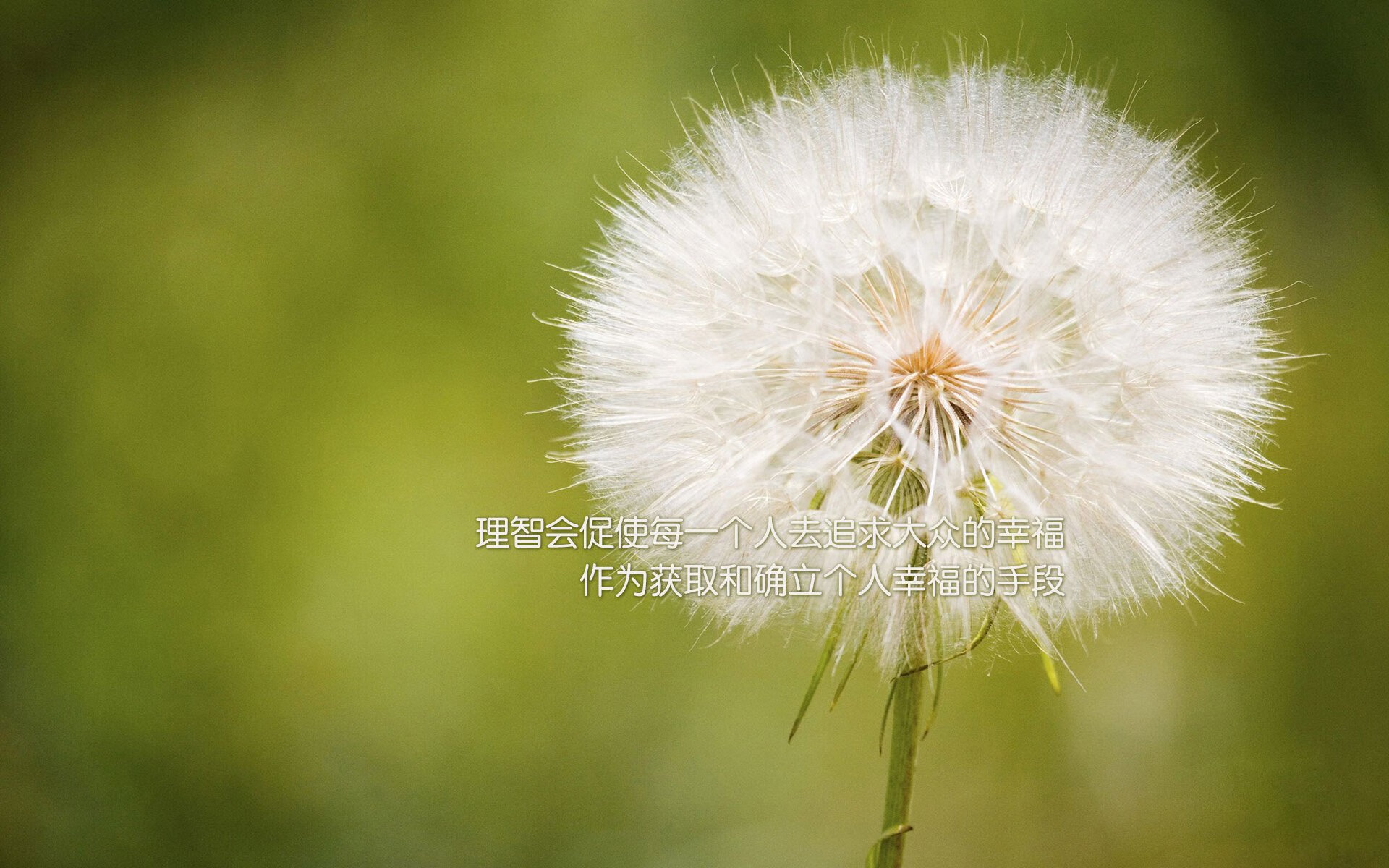 乐鱼体育平台官网-塞内加尔男足在巴黎奥运会比赛中以2-0战胜日本，塞内加尔国足