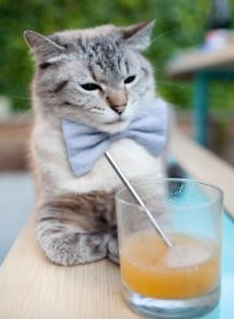 独行侠后卫因救助车祸被市政府授予荣誉称号,独行侠队员