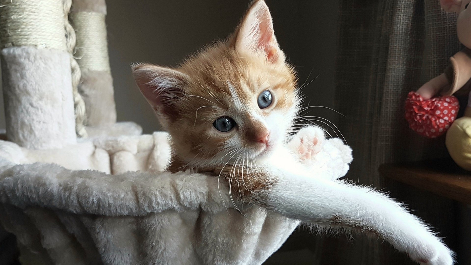 迷你世界“创造狂欢”创意大赛火爆进行中，迷你世界创意玩法