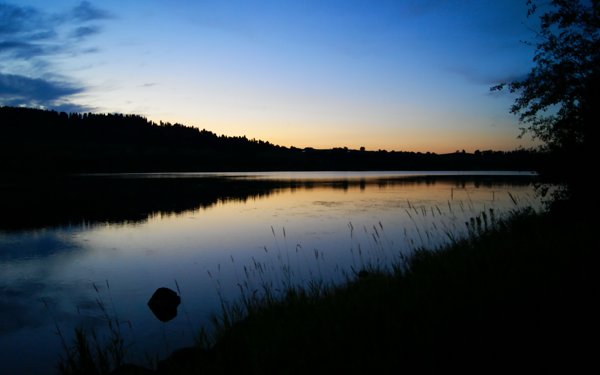 乐鱼体育-Cloud9夏季赛状态起伏，s9夏季赛