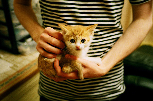 巴萨主场3-0战胜贝蒂斯,进攻端表现出色,巴萨对阵贝蒂斯全场