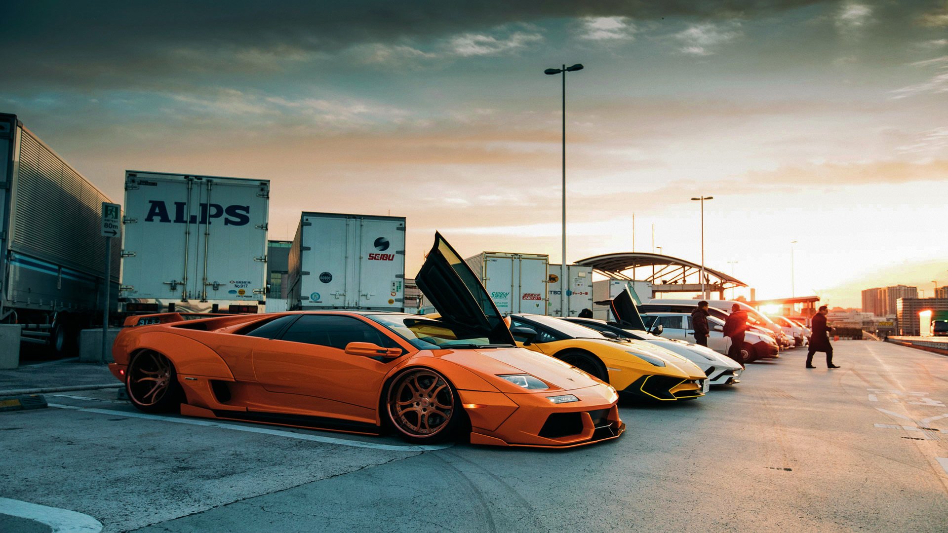 LeyuSports-挪威队成功晋级欧洲杯正赛，勇者无畏勇往直前，挪威欧洲杯2021