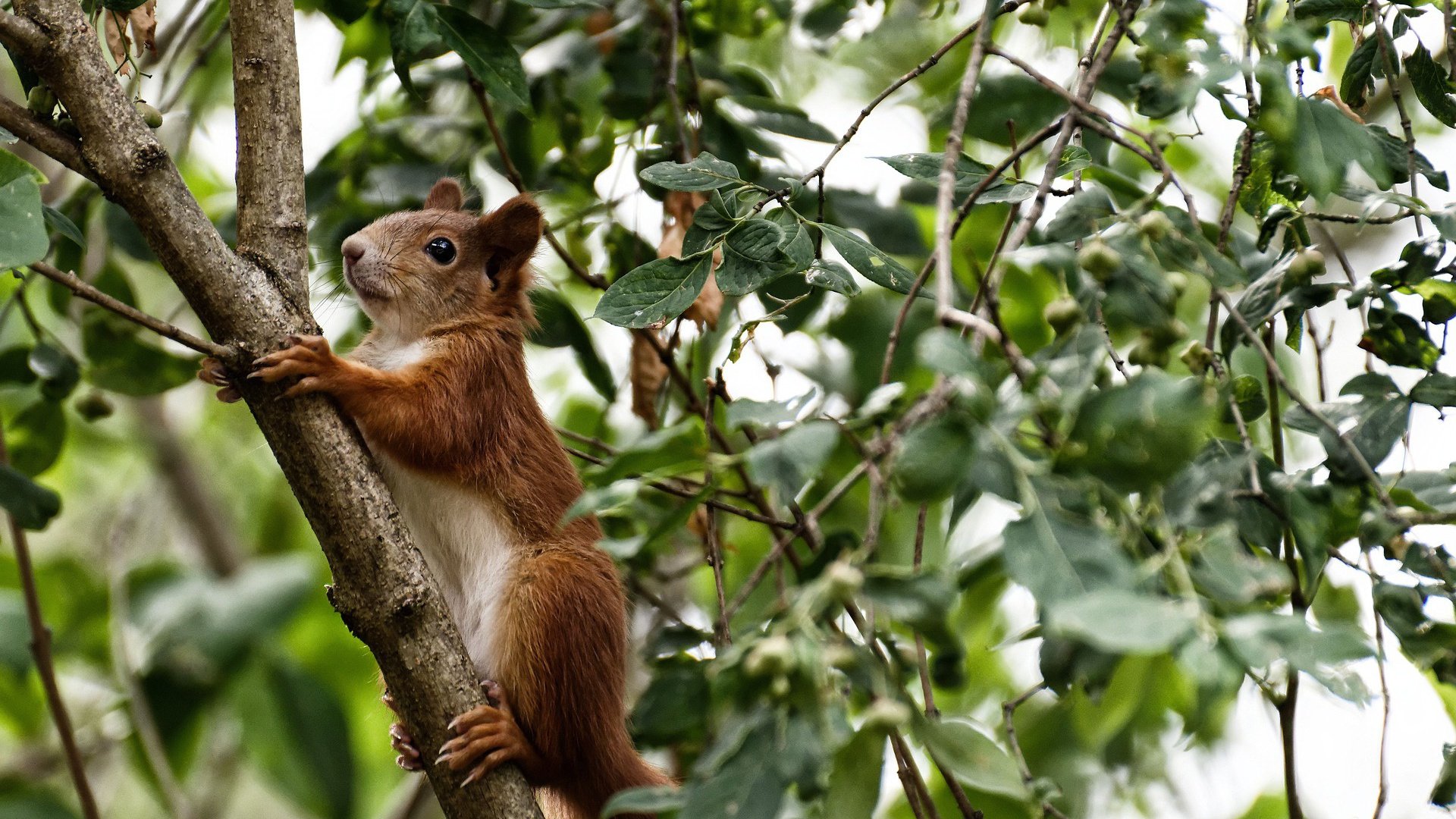 乐鱼电竞在线平台-毕尔巴鄂竞技主场0-1不敌巴塞罗那，遗憾落败，毕尔巴鄂竞技vs巴萨直播