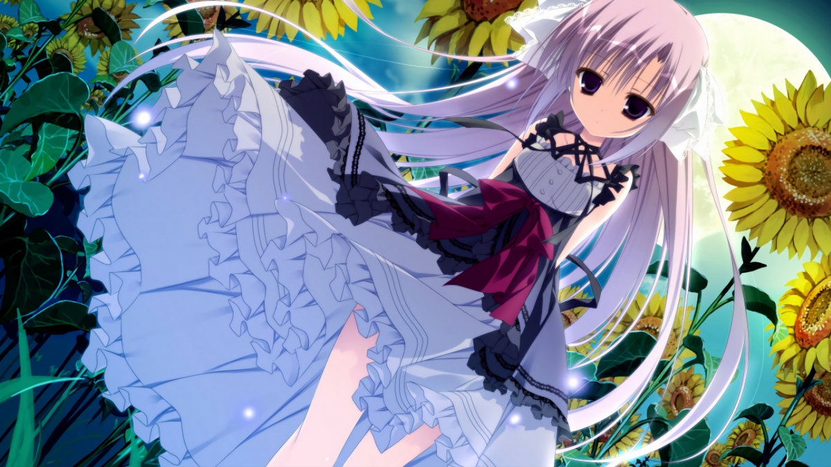 首尔SK骑士核心球员发挥稳定,首尔sk骑士核心球员发挥稳定吗