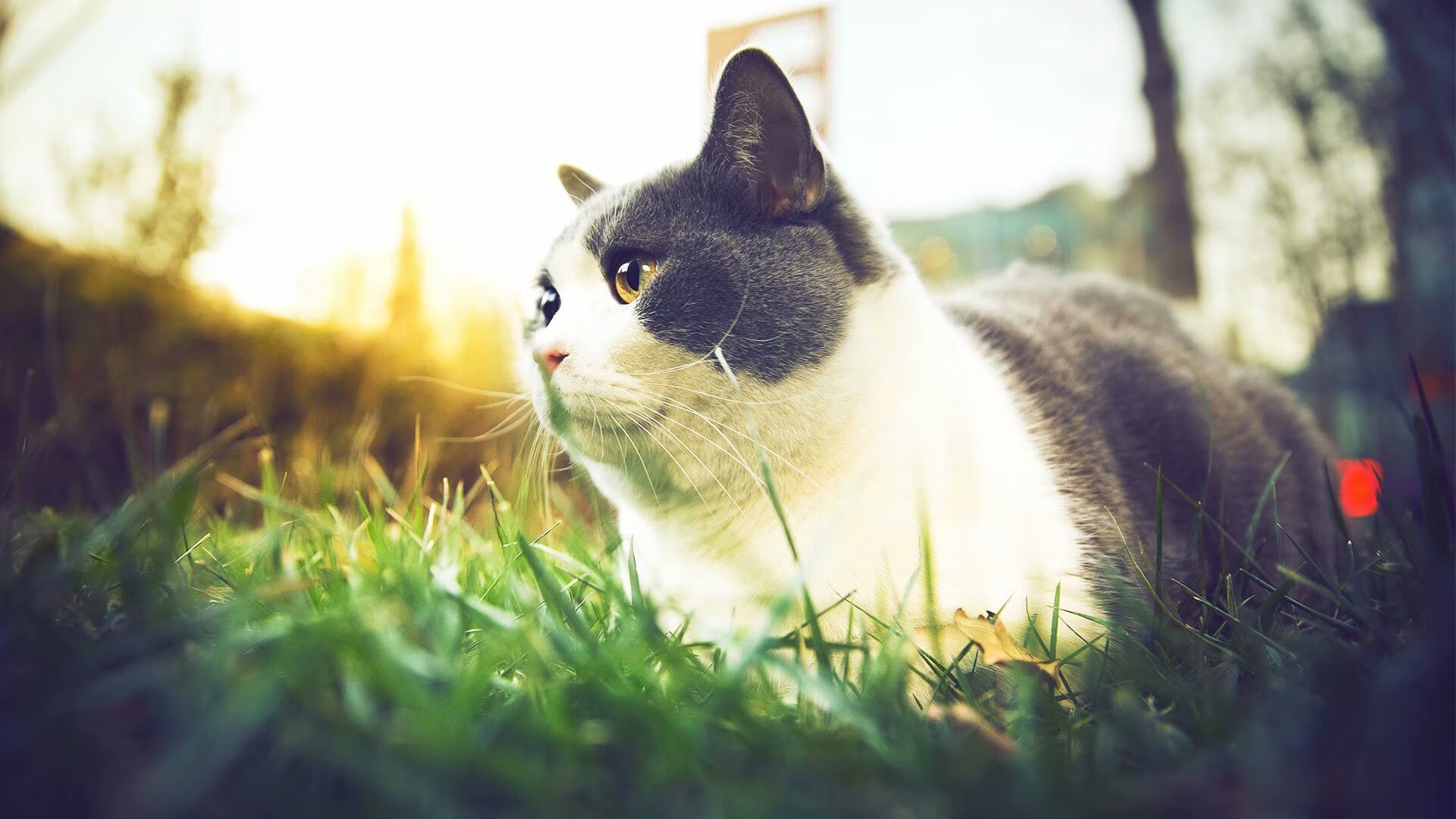 马赛签下实力后卫,马赛队门将