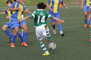 leyu乐鱼官网登录入口-中国足球赛事直播流量与关注度指数追踪，中国足球关注度数据