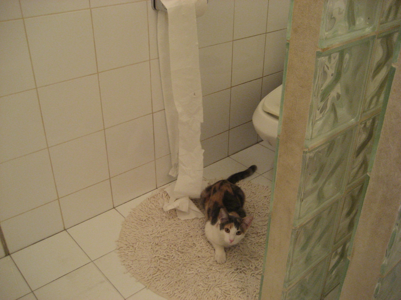 体育赛事合作营销策略,体育赛事营销方式