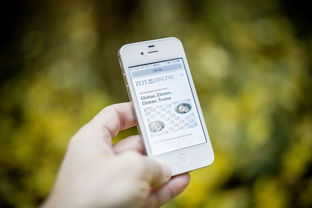 乐鱼娱乐app-智能化体育测评系统开发与适用性分析，体育考试智能化测试仪器