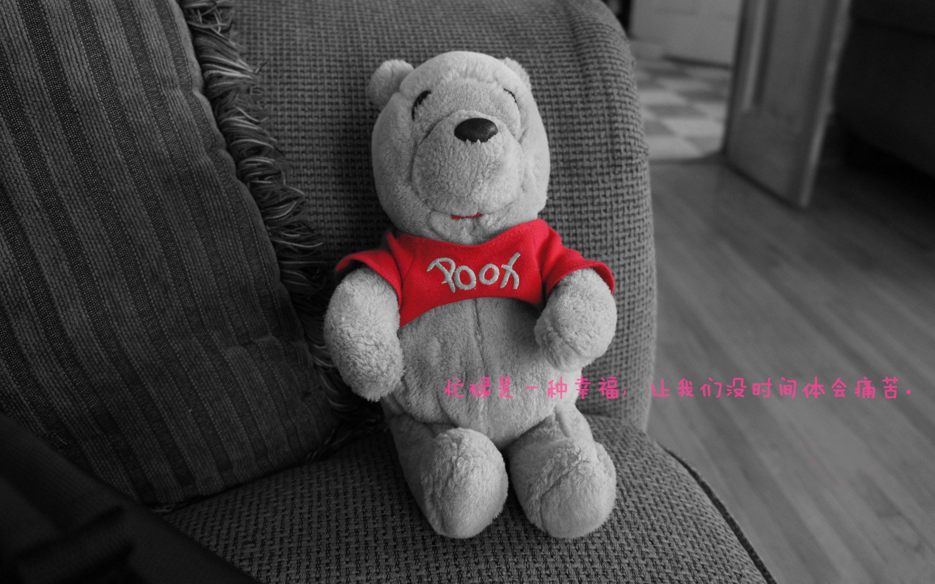 “羽毛球：简阳文体中心赛场迎来世界羽坛巨星对决”