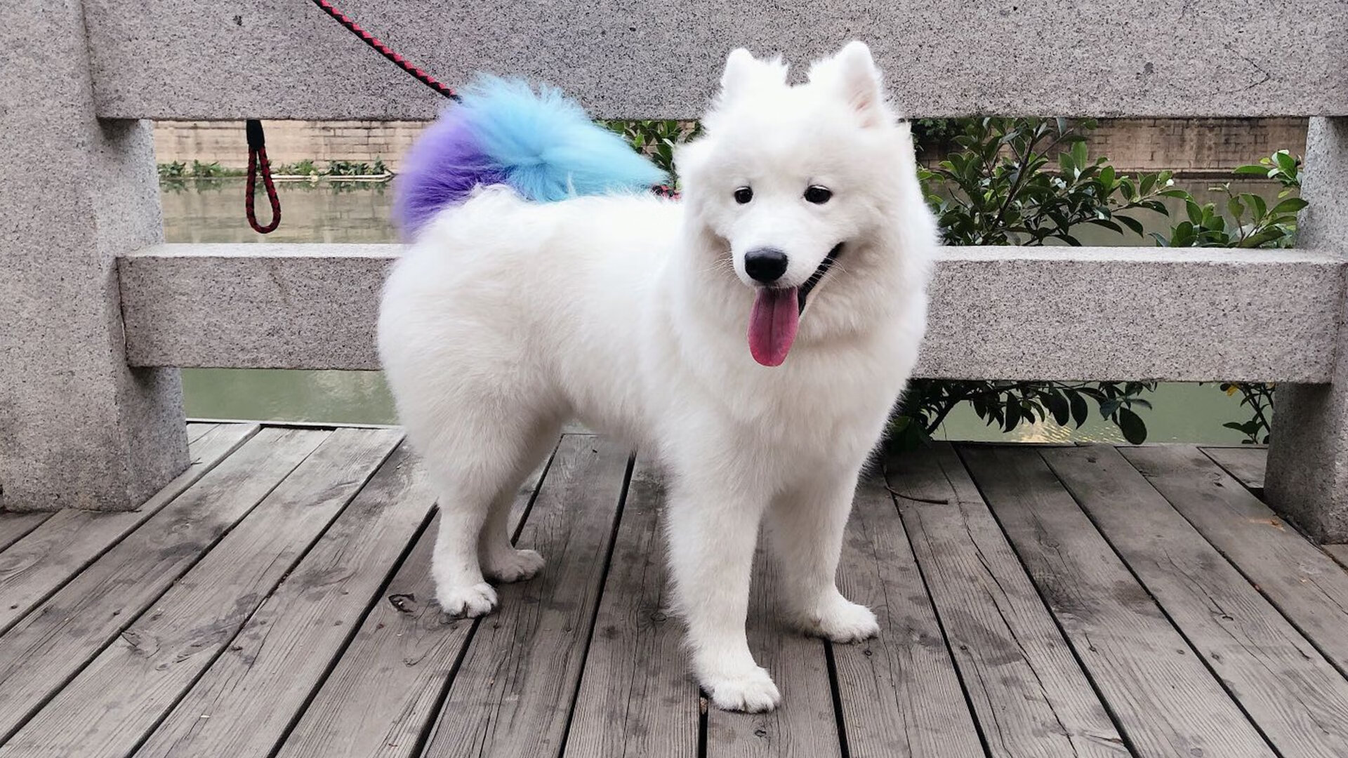 中锋护框能力对比赛的直接影响，中锋的防守区域