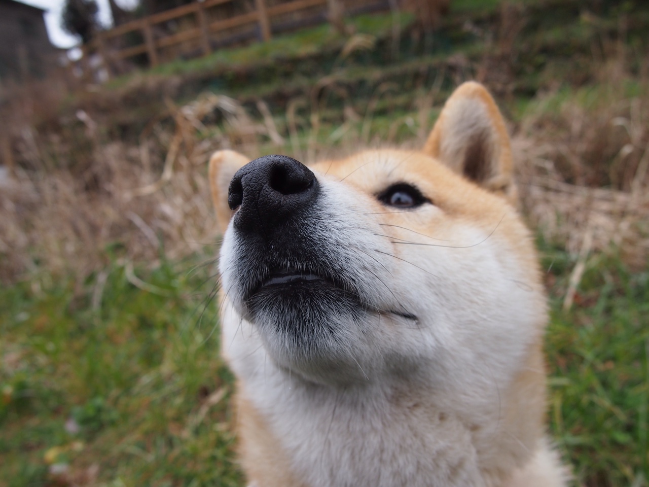 国际热身赛中国青年队战败 球员心理状态不稳，热身赛算国家队进球吗