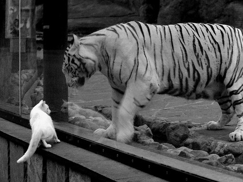 曼城压迫式打法再次主导整场节奏，曼城压哨夺冠