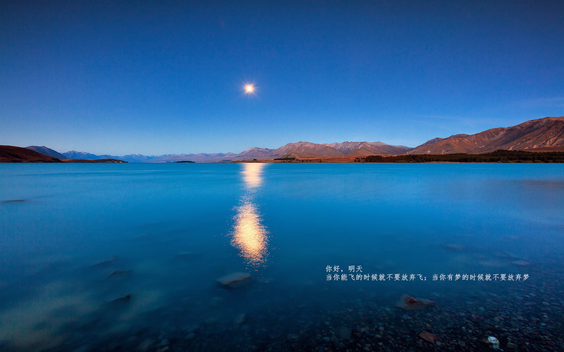 leyu乐鱼-欧洲杯历史巅峰：激情与智慧的完美碰撞，欧洲杯历史揭幕战