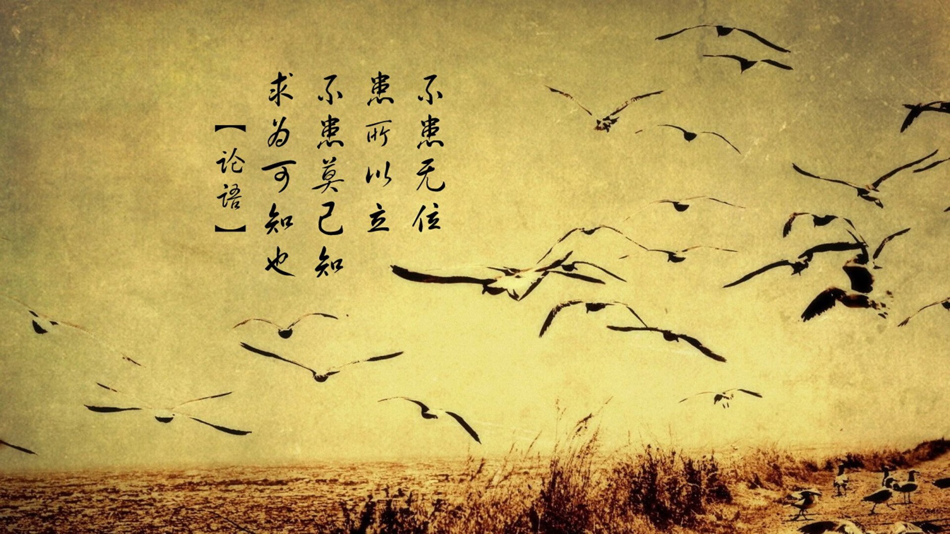 乐鱼体育登录-水球终场绝杀比利时逆转取胜，水球比赛决赛