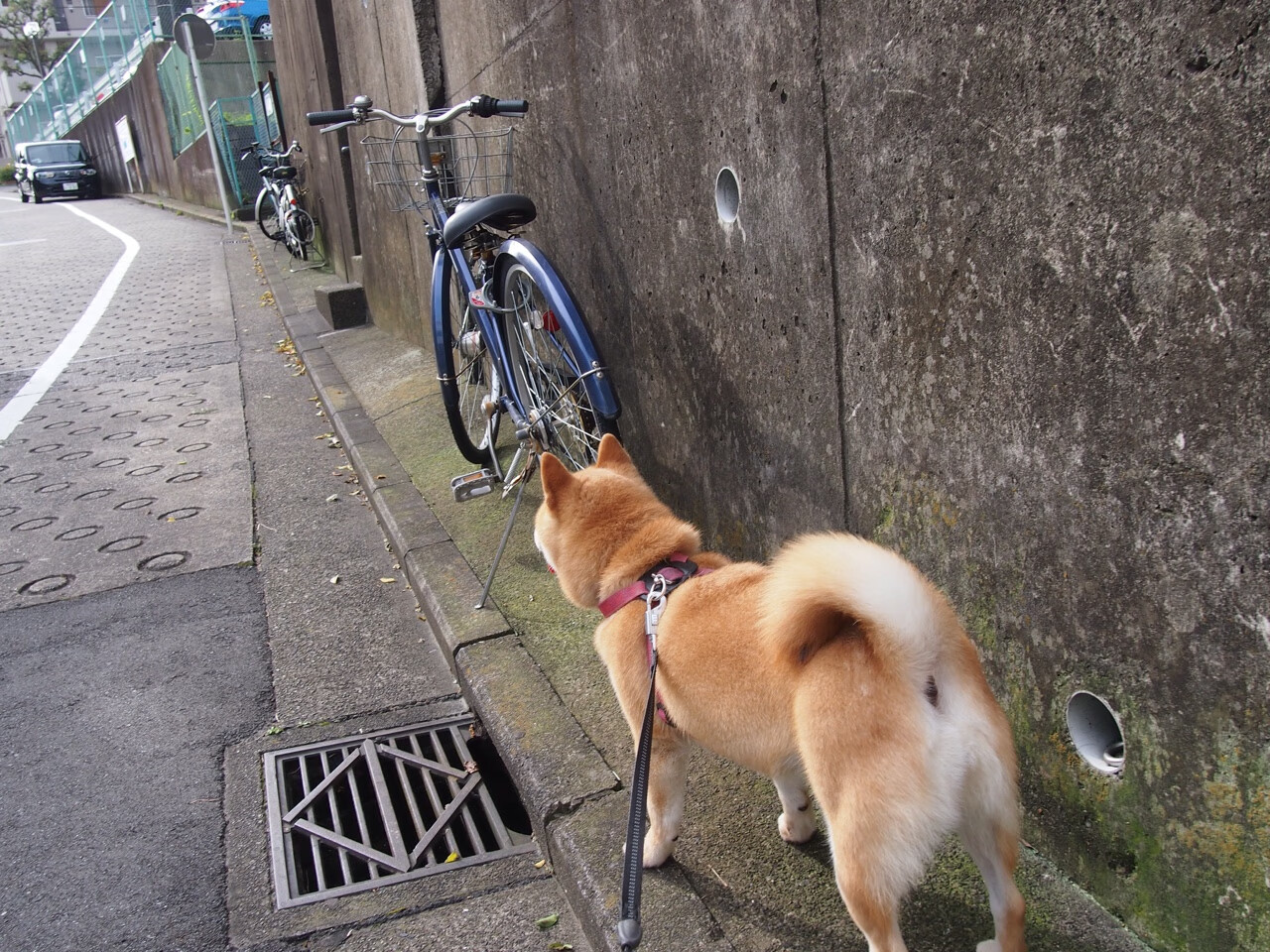 乐鱼体育-热火官宣赛季主题夜名单彰显球迷文化，热火晋级总决赛