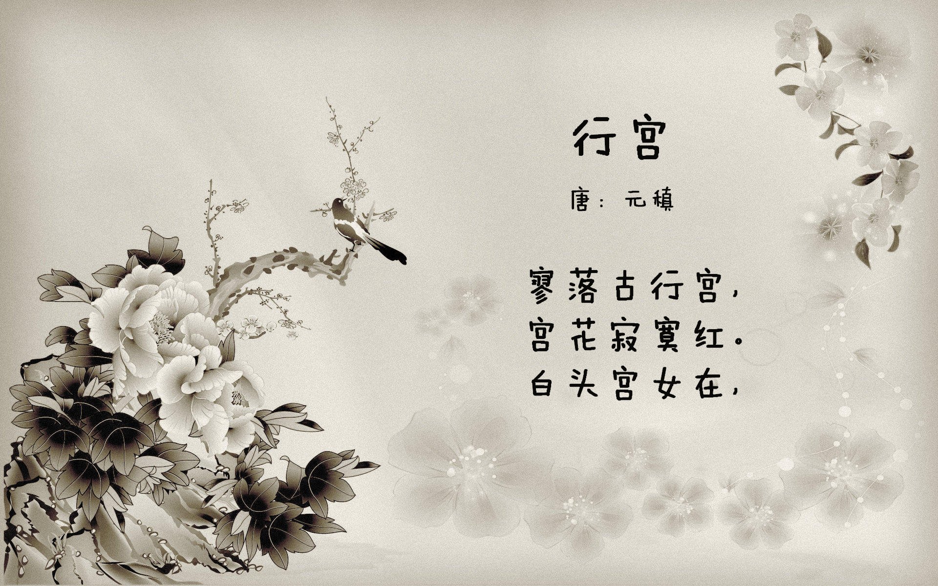 足球文化在青少年中的普及率不断提高,青少年足球的发展