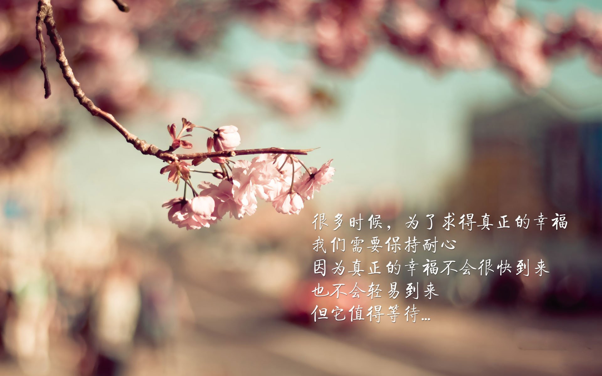 乐鱼体育App下载-青训选拔设立双通道机制兼顾技术与潜力评价