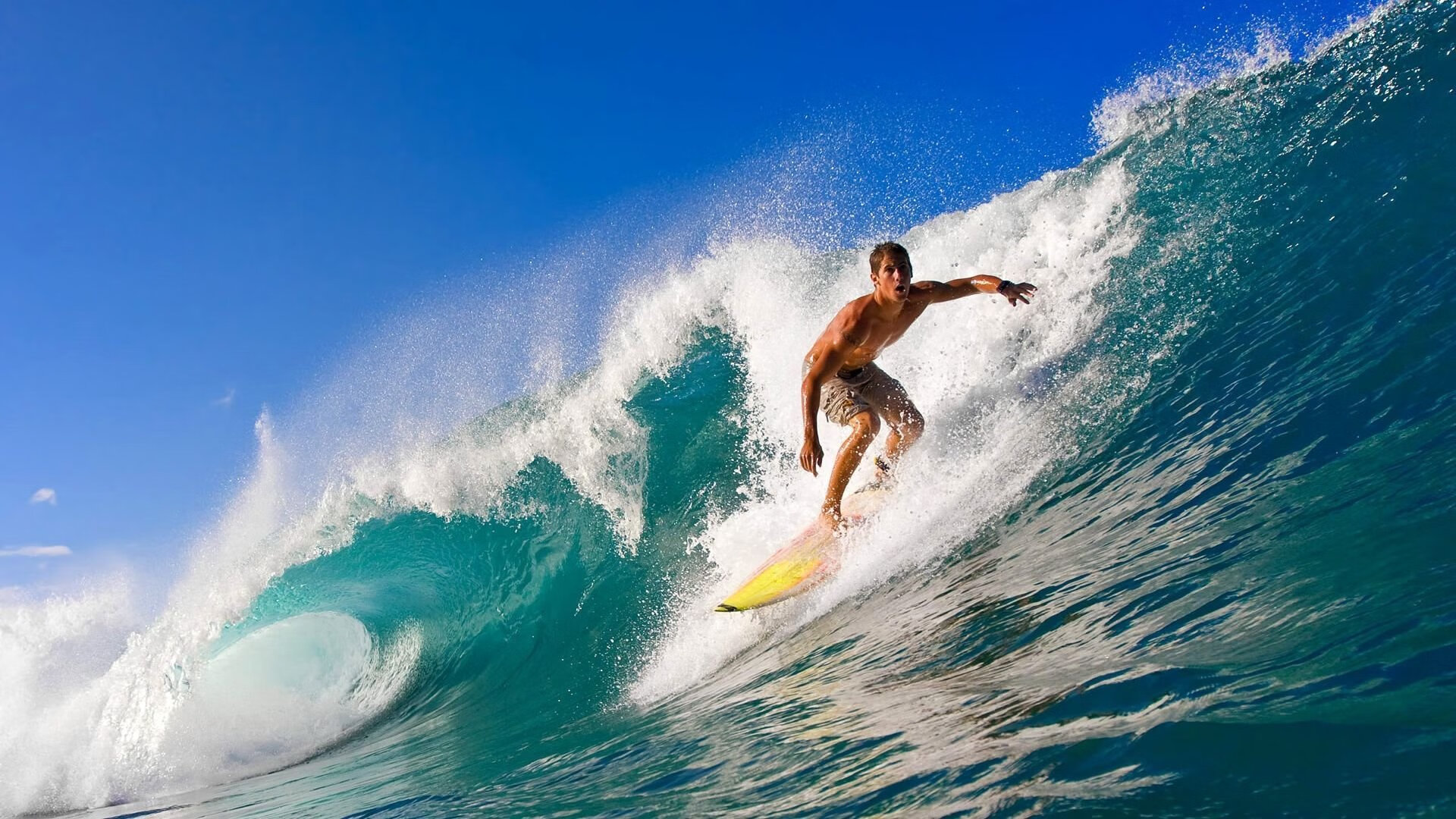 _终极对决：当代两大顶尖选手的巅峰较量_，终极对决简介