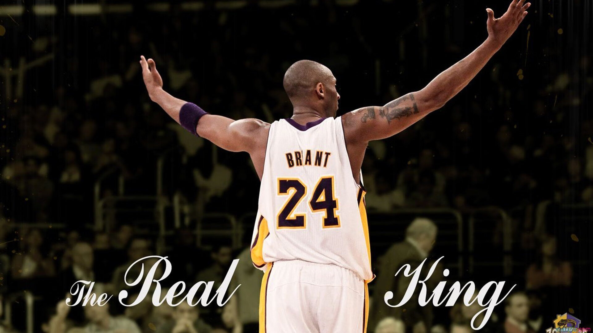 《2025年CS_GO世界冠军,Vitality战队成功卫冕》,20年csgo比赛